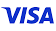 110 Visa U.S.A. Inc. logo