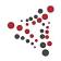 Alpha Net Consulting LLC logo