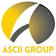 Ascii Group, LLC logo