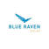 Blue Raven Solar logo