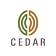 Cedar Management Consulting International logo