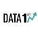 DataFirst Solutions logo