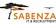 DCV Sabenza IT and Recruitment logo