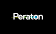 Peraton logo