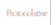 PROTOCOLSONE logo