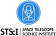 Space Telescope Science Institute logo