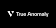 True Anomaly Inc logo